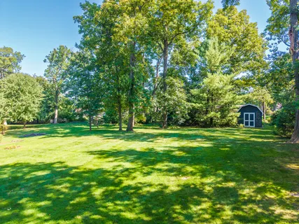 a view of a tree in a yard with a house