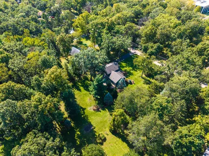 a close up of a plant