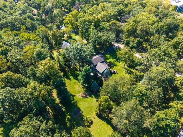 a close up of a plant