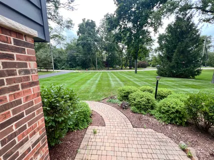 a view of a backyard with a garden