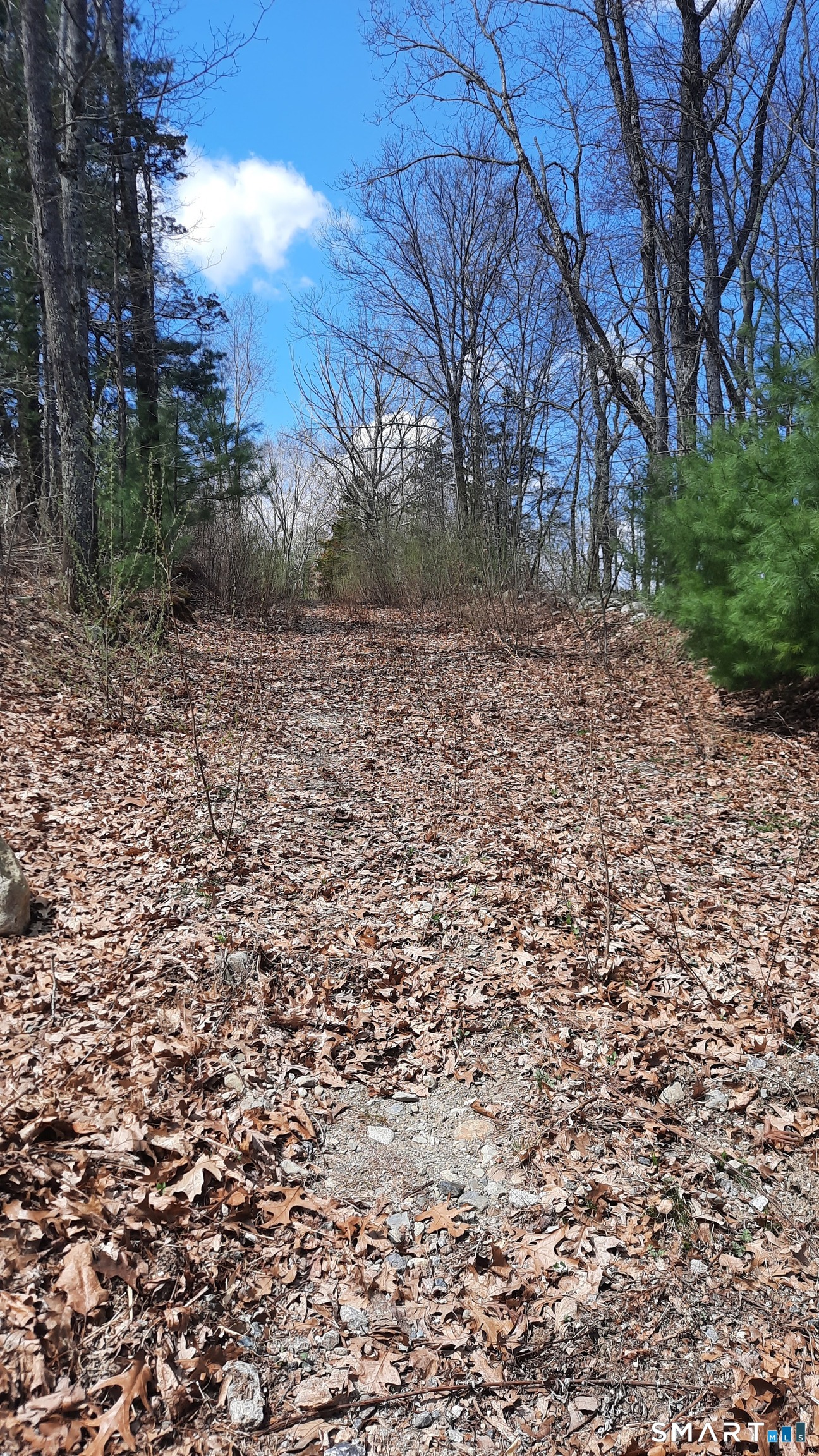Lot 03-2 New Sweden Road Woodstock, CT 06281 - Photo 2 of 5 a view of a yard with trees