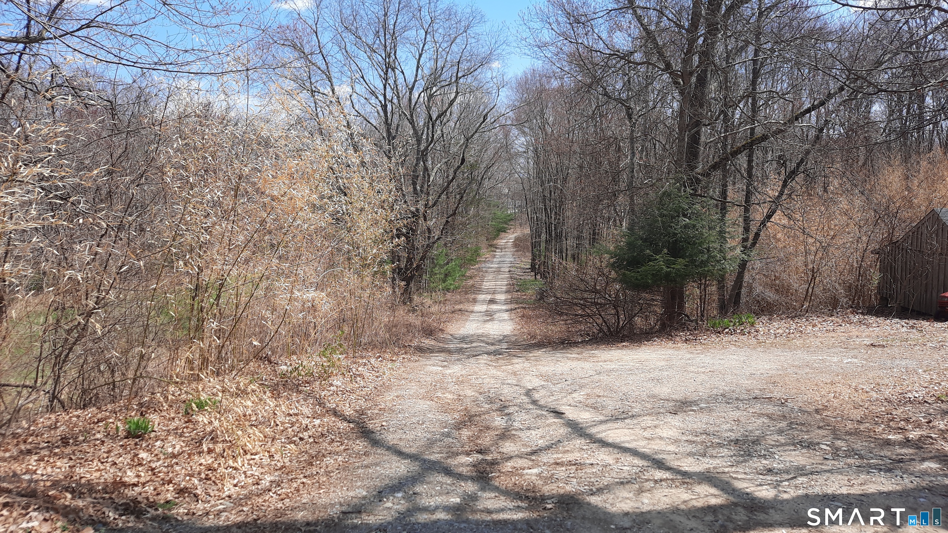 Lot 03-2 New Sweden Road Woodstock, CT 06281 - Photo 4 of 5 a view of empty yard with trees