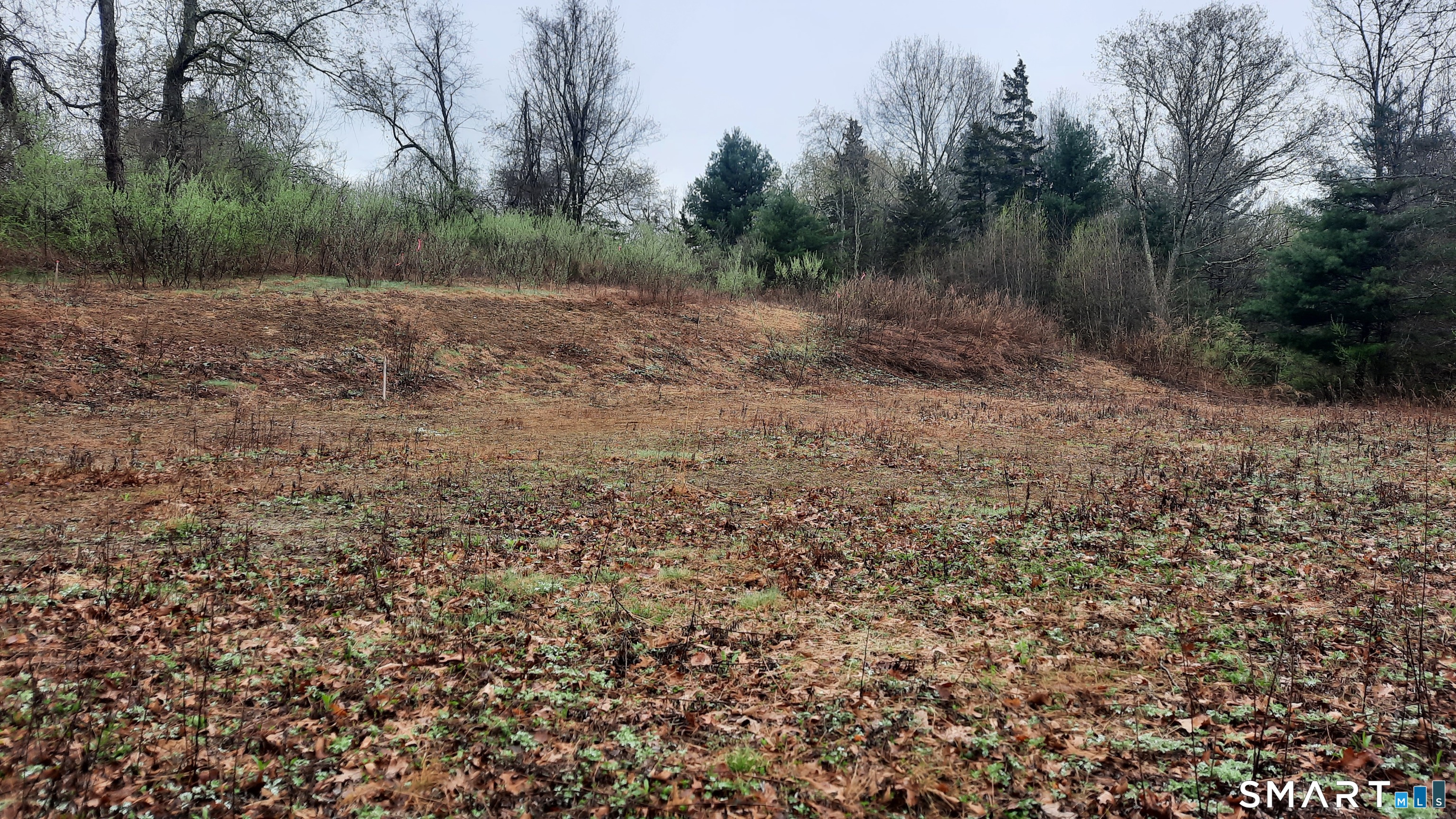 Lot 03-2 New Sweden Road Woodstock, CT 06281 - Photo 5 of 5 a view of a yard with a tree