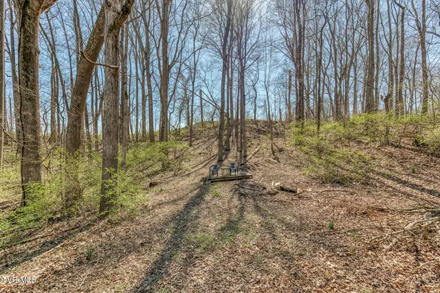 $640,000 | 16 Chaucer Court, Gray, TN 37615