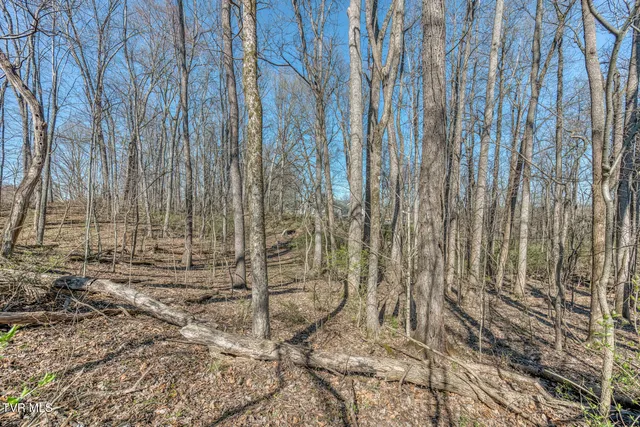 $640,000 | 16 Chaucer Court, Gray, TN 37615