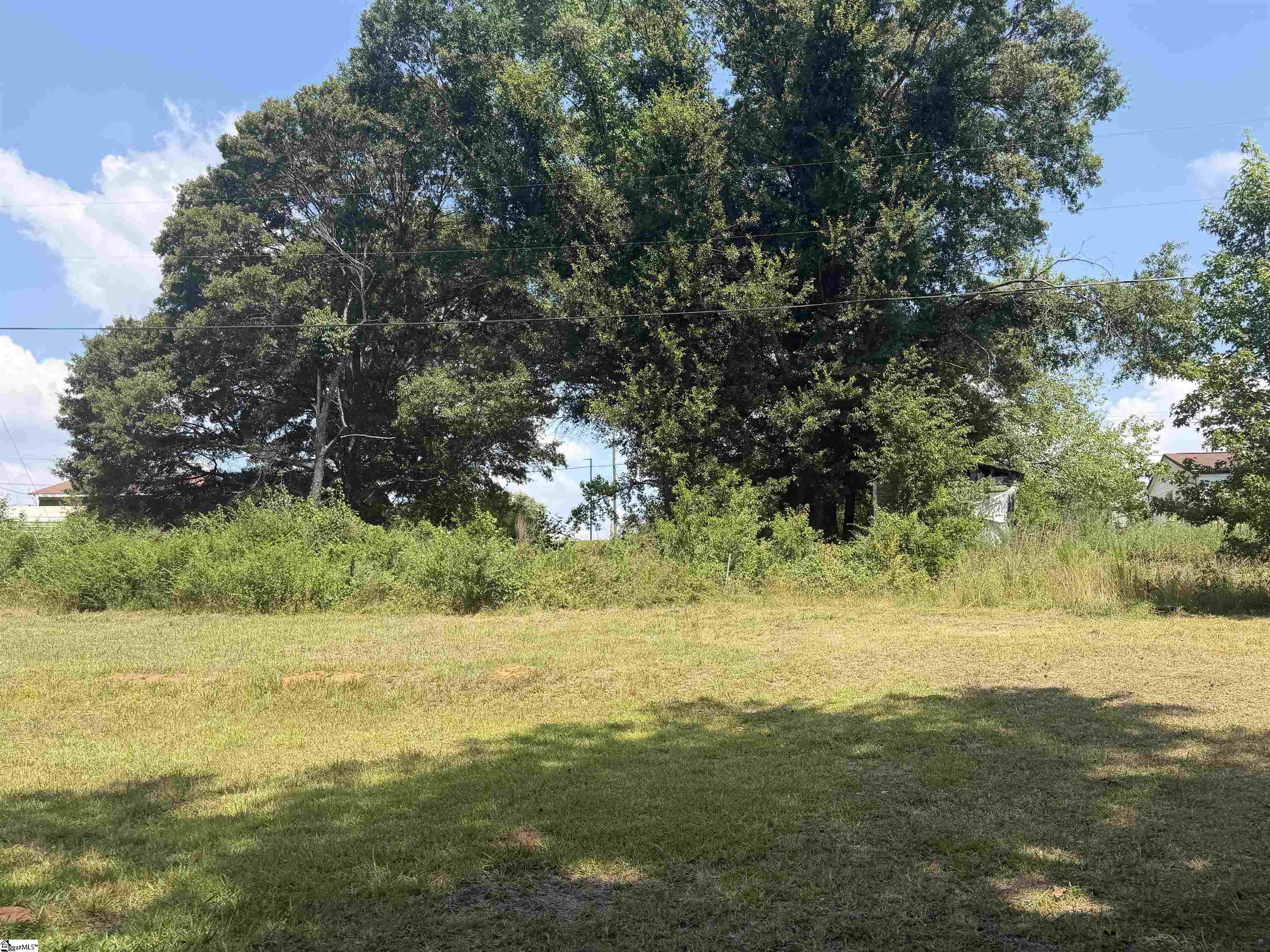 2060 State Rd S-42-8438 Chesnee, SC 29323 - Photo 4 of 19