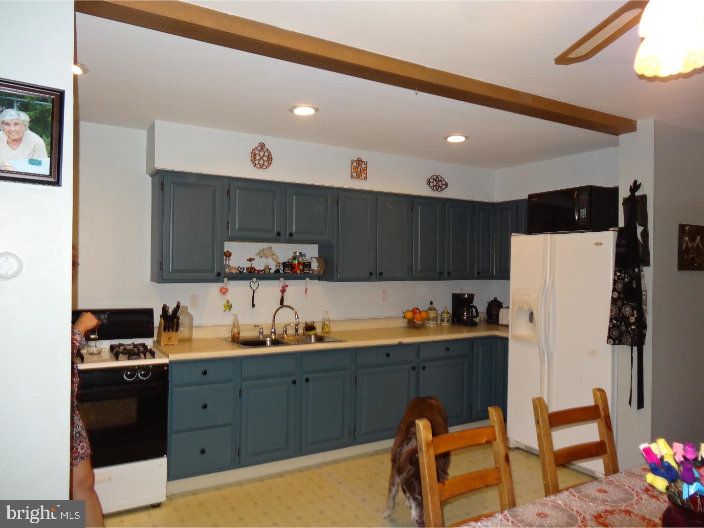 310 Ripka Street Philadelphia, PA 19128 - Photo 7 of 14 a kitchen with a refrigerator and a stove top oven