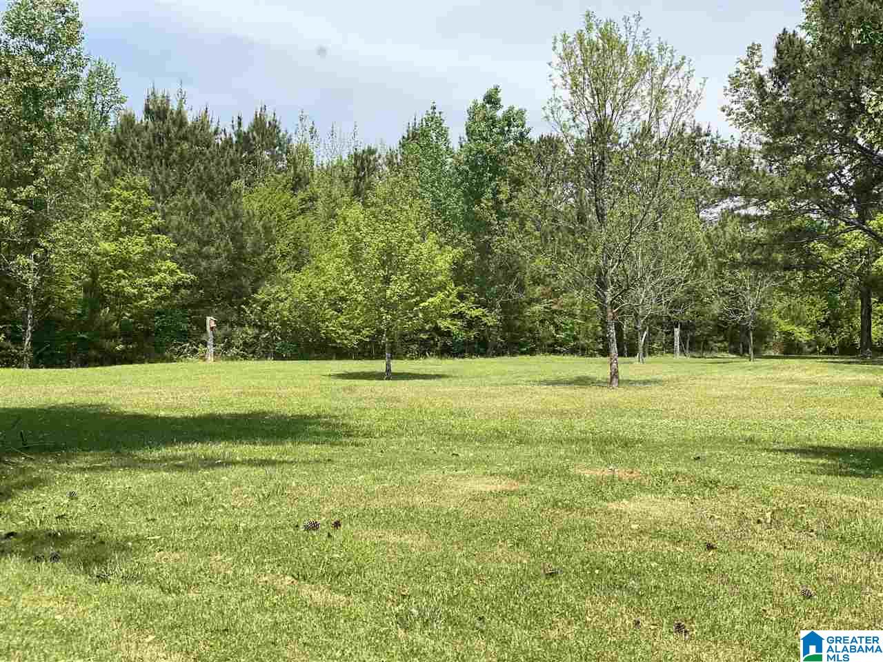 517 Arkadelphia Road Warrior, AL 35180 - Photo 4 of 5