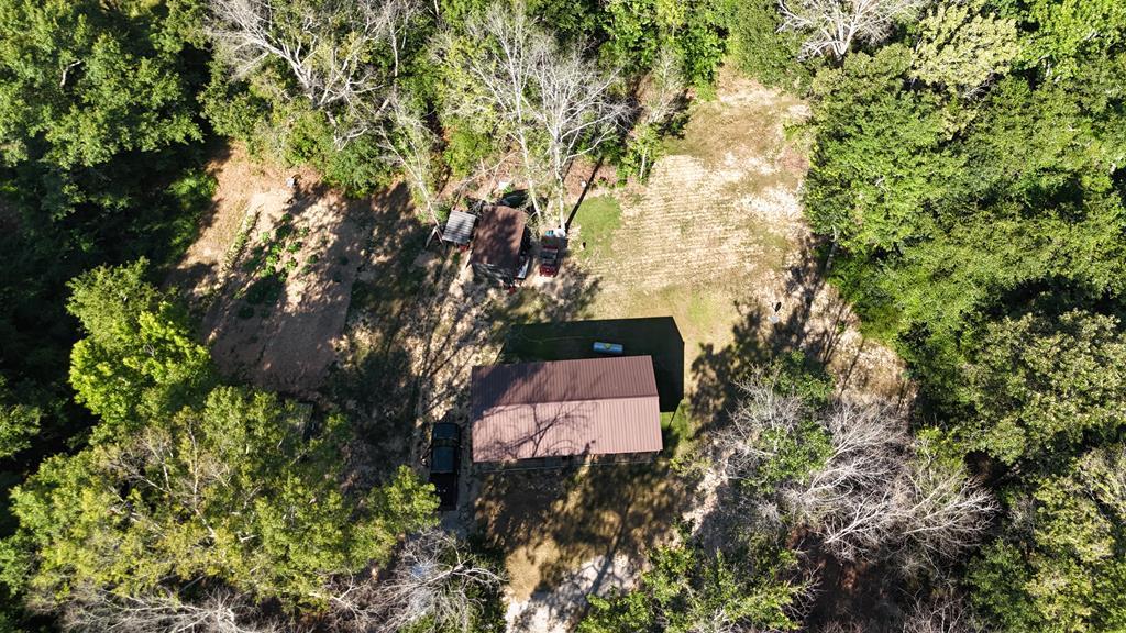 10355 County Road 97 Abbeville, AL 36310 - Photo 2 of 16