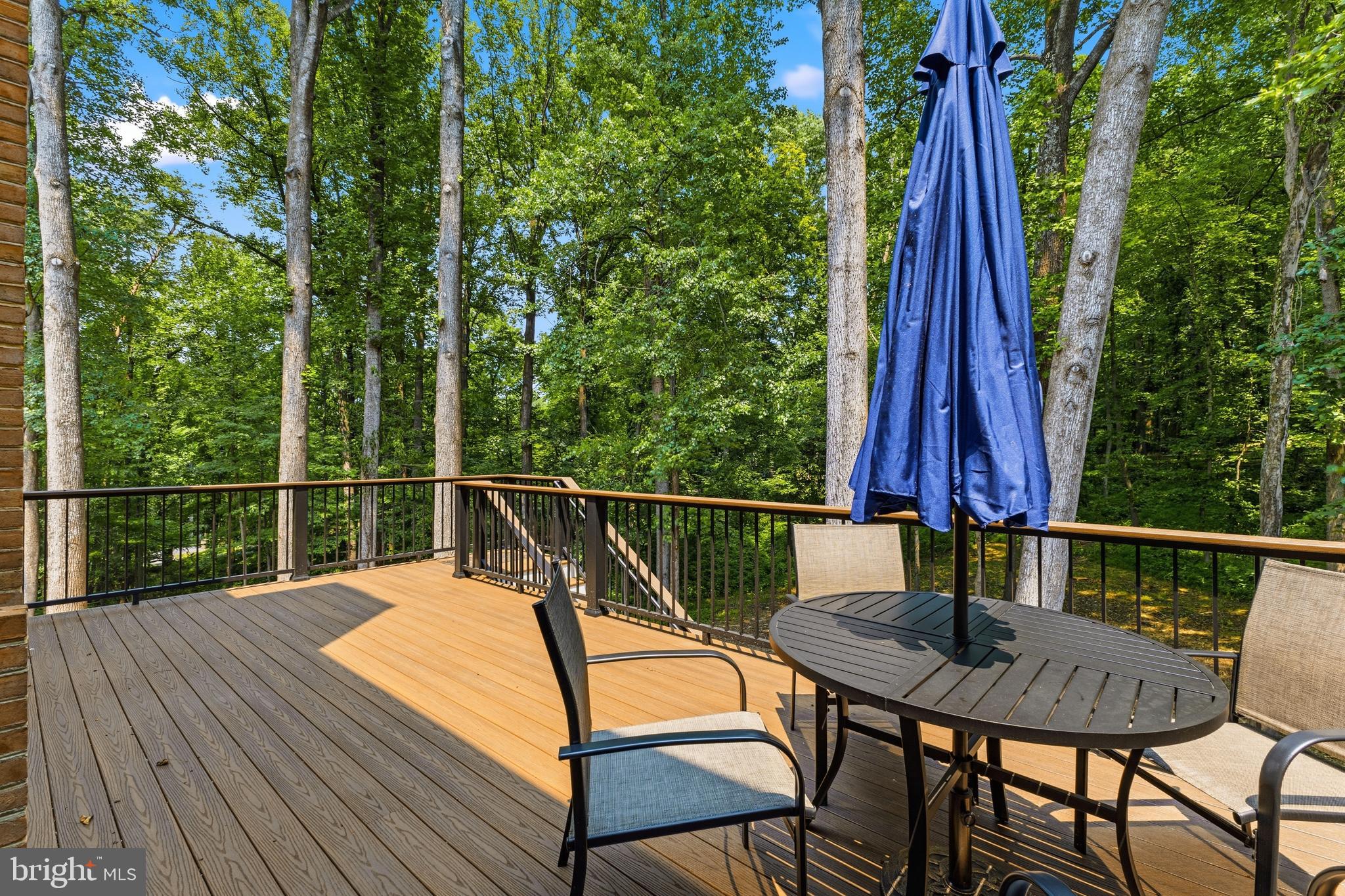 9200 Ripple Brook Road Great Falls, VA 22066 - Photo 18 of 43 NEW Deck with plenty of Privacy