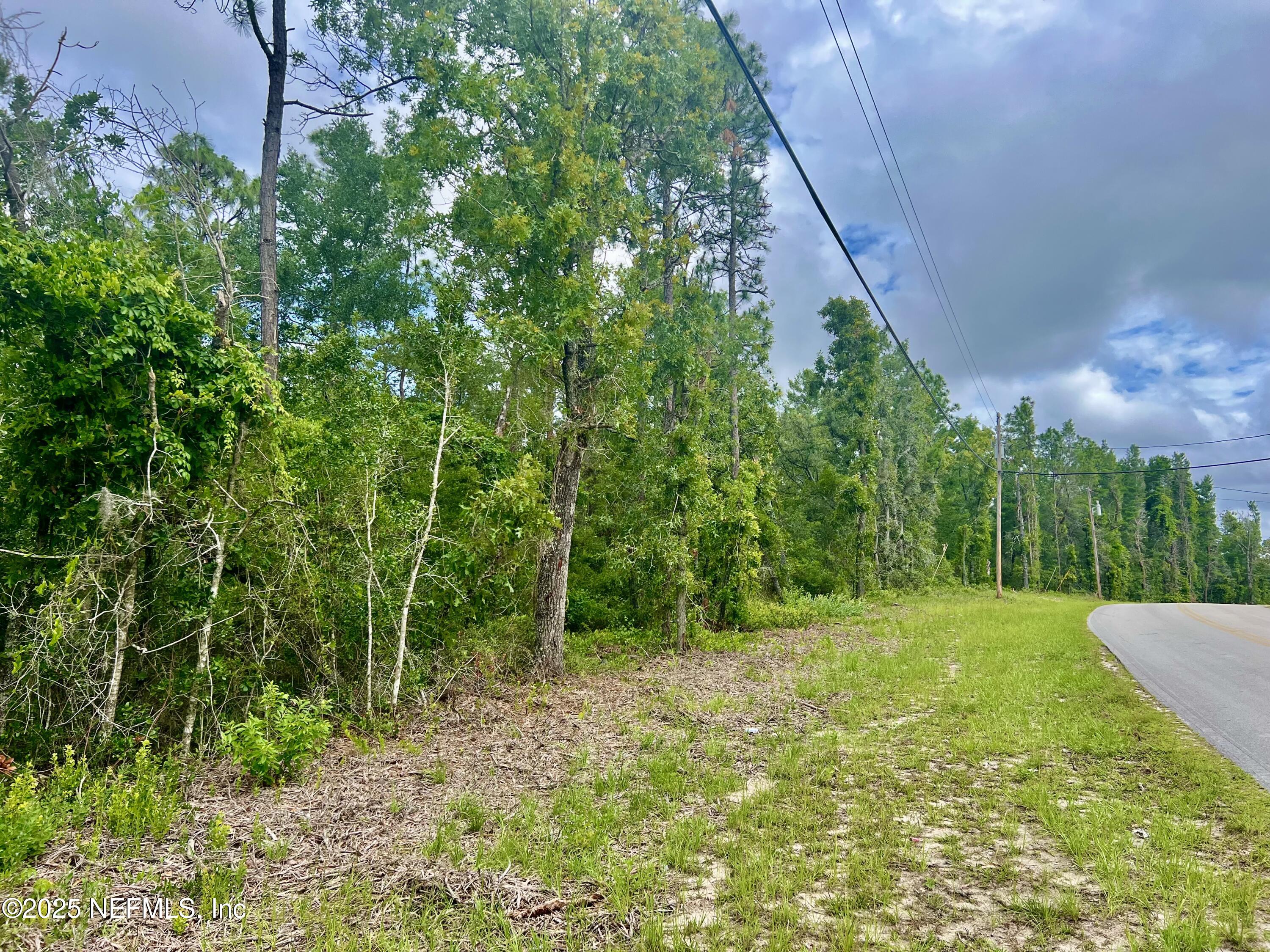 0 Southeast 3rd Avenue Keystone Heights, FL 32656 - Photo 2 of 4 a view of a backyard with large trees