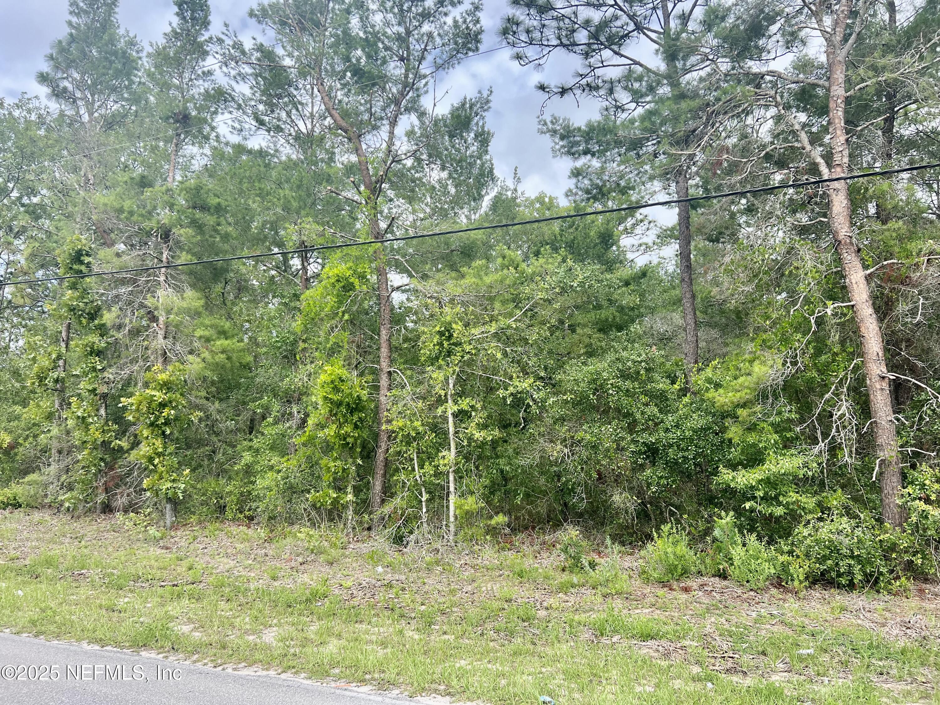 0 Southeast 3rd Avenue Keystone Heights, FL 32656 - Photo 3 of 4 a view of a yard