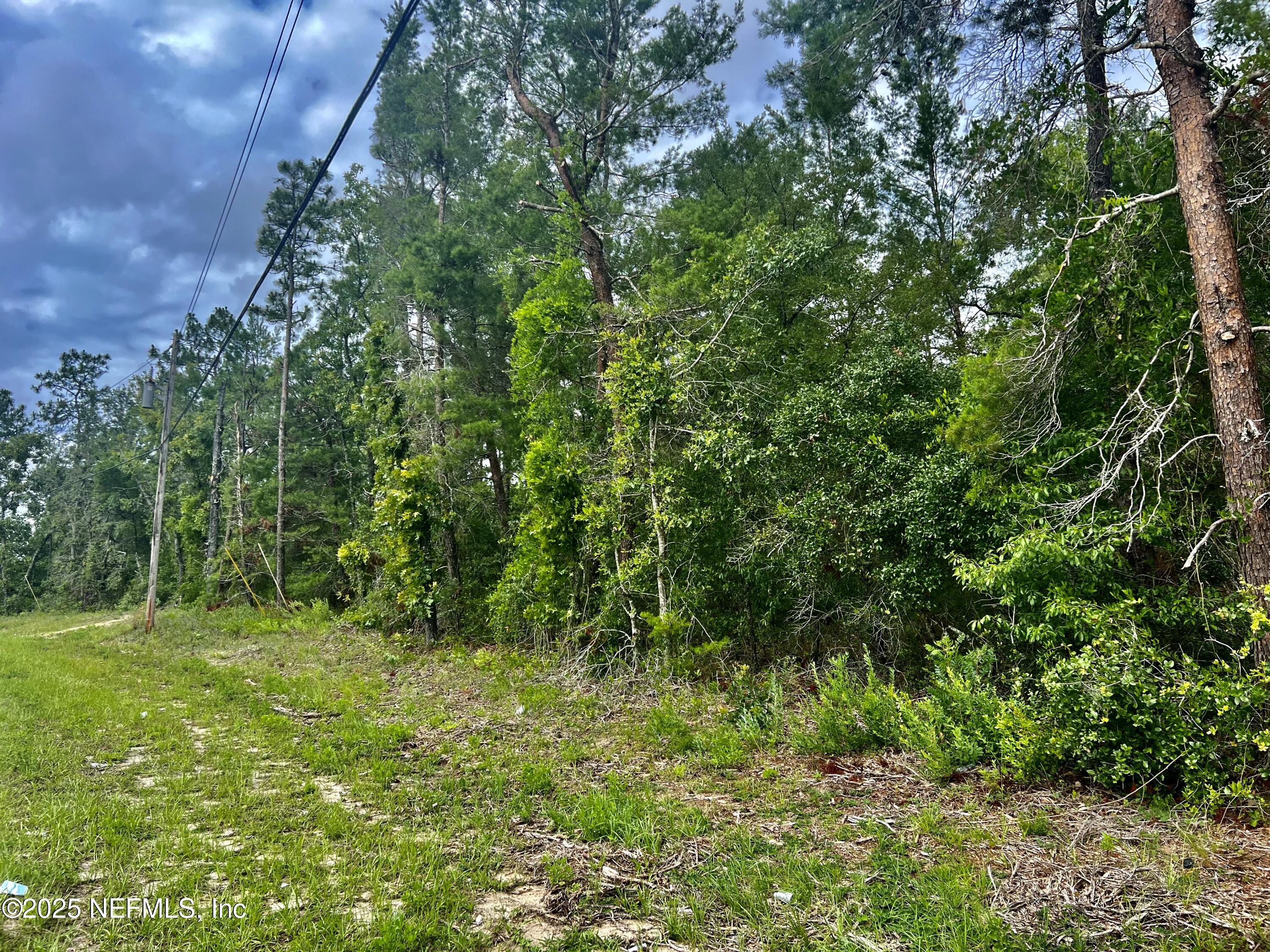0 Southeast 3rd Avenue Keystone Heights, FL 32656 - Photo 4 of 4 a view of a lush green space