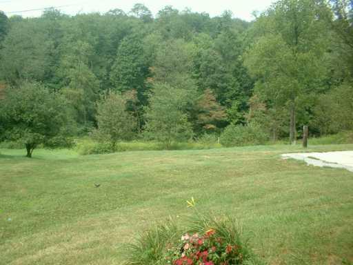 653 Engle Road Ohioville, PA 15052 - Photo 6 of 8 Yard/Garden.
