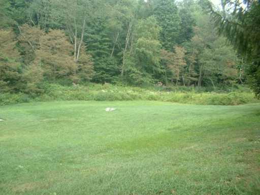 653 Engle Road Ohioville, PA 15052 - Photo 7 of 8 Yard/Garden.