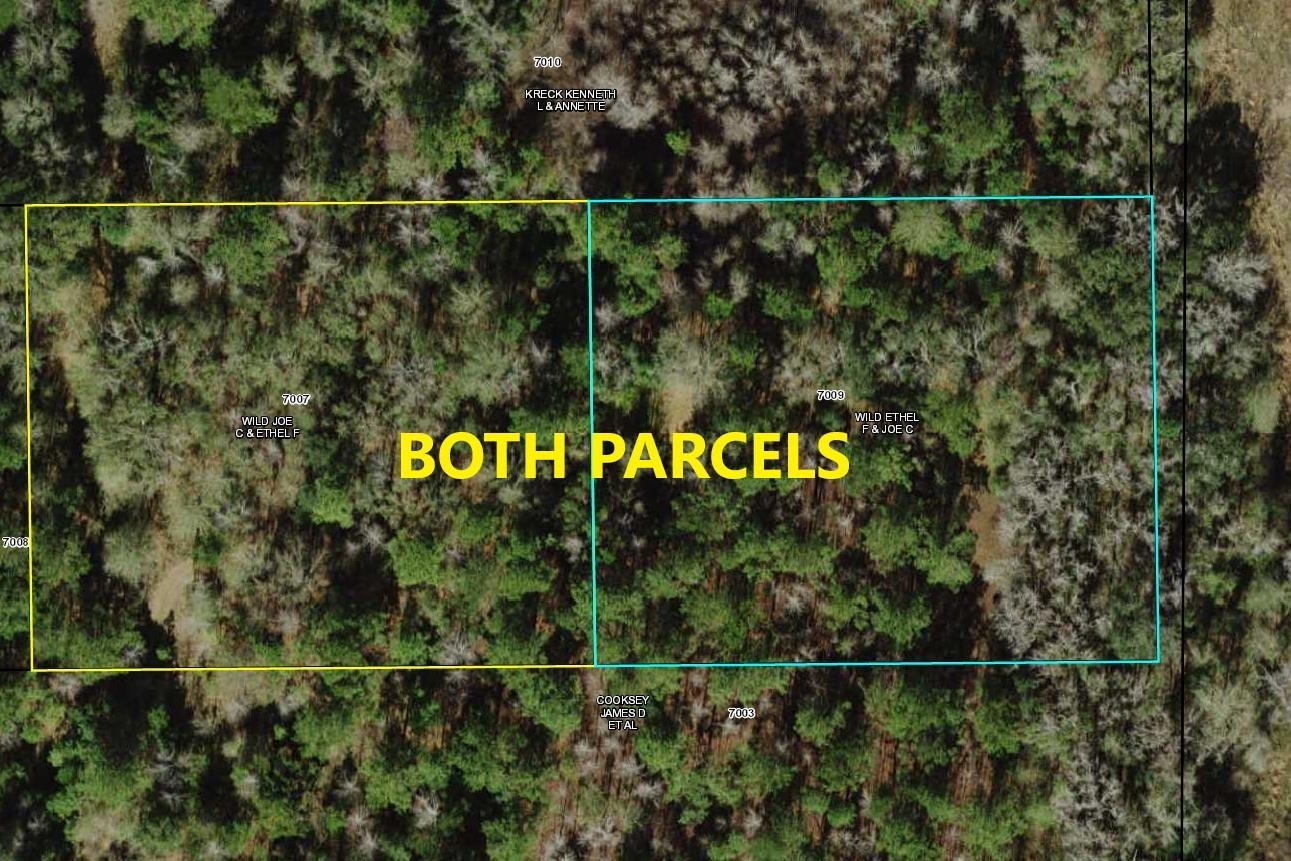0 Cooksey Road Monticello, FL 32344 - Photo 1 of 1 Gallery Image 1