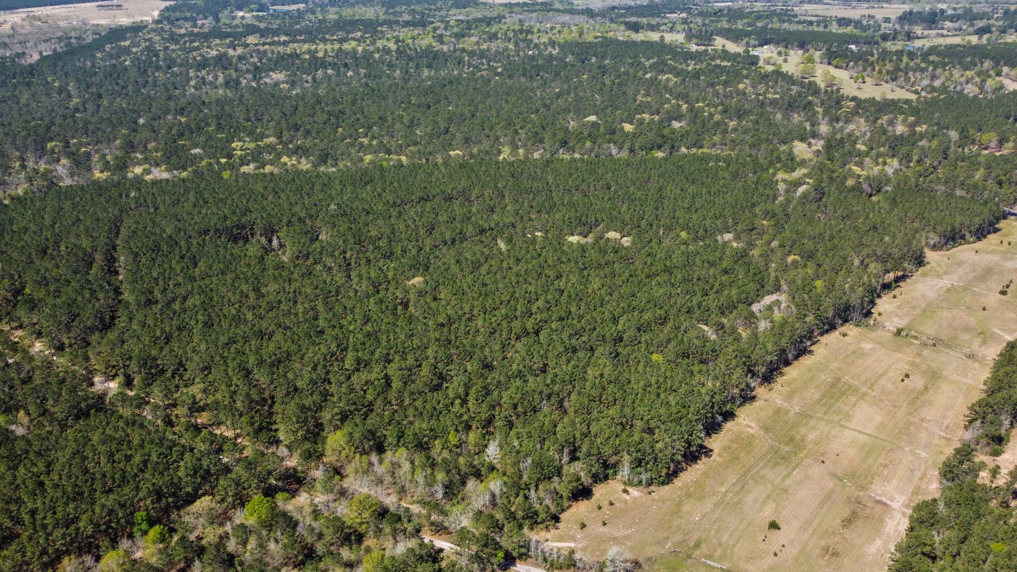 214 Hunters Hill Road Oakhurst, TX 77359 - Photo 6 of 13 Gallery Image 6