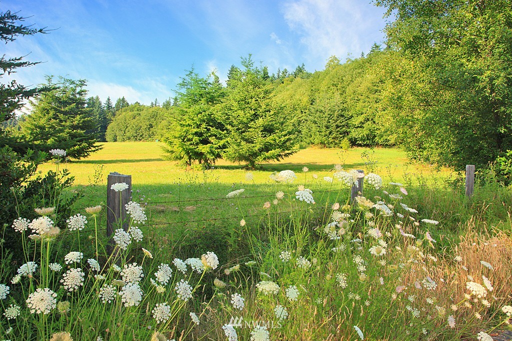 3545 Wildes Road Clinton, WA 98236 - Photo 1 of 4 Gallery Image 1