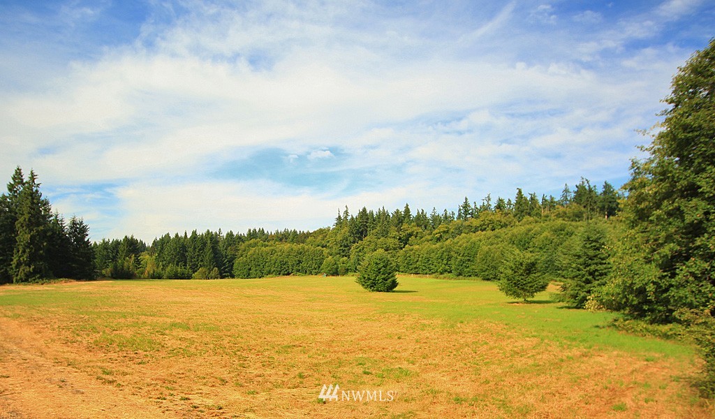 3545 Wildes Road Clinton, WA 98236 - Photo 3 of 4 Gallery Image 3