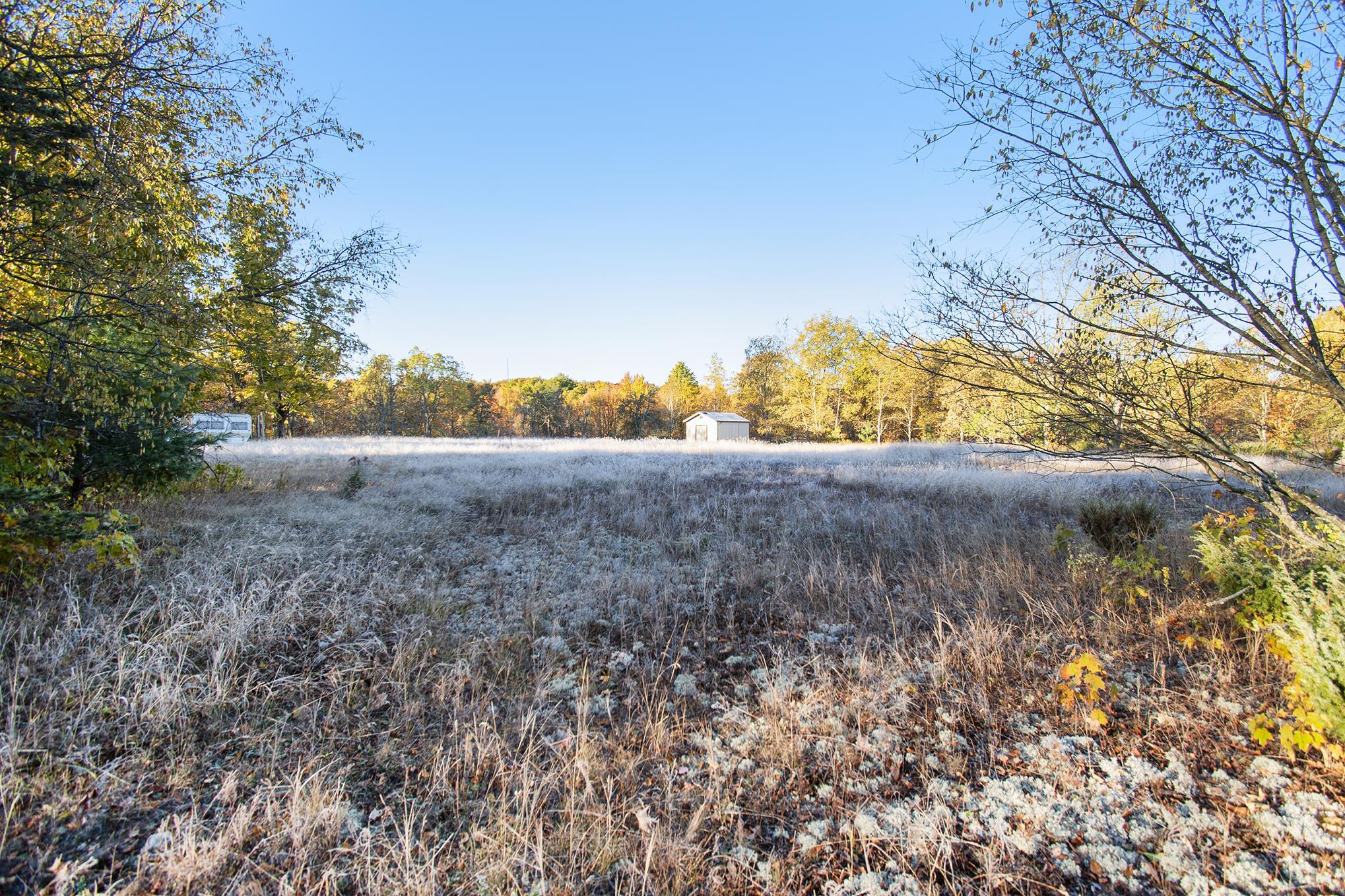 0 Pioneer Road Honor, MI 49640 - Photo 7 of 26