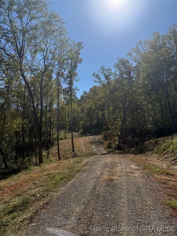 Tract 15 State Road 156 Patriot, IN 47038 - Photo 16 of 16