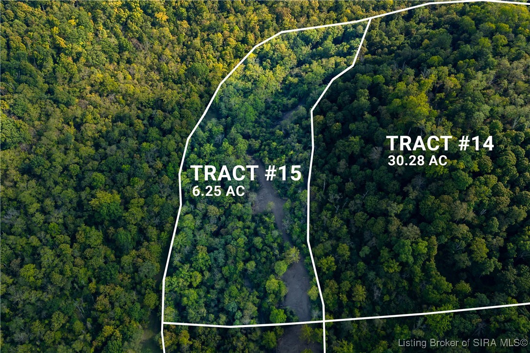 Tract 15 State Road 156 Patriot, IN 47038 - Photo 3 of 16