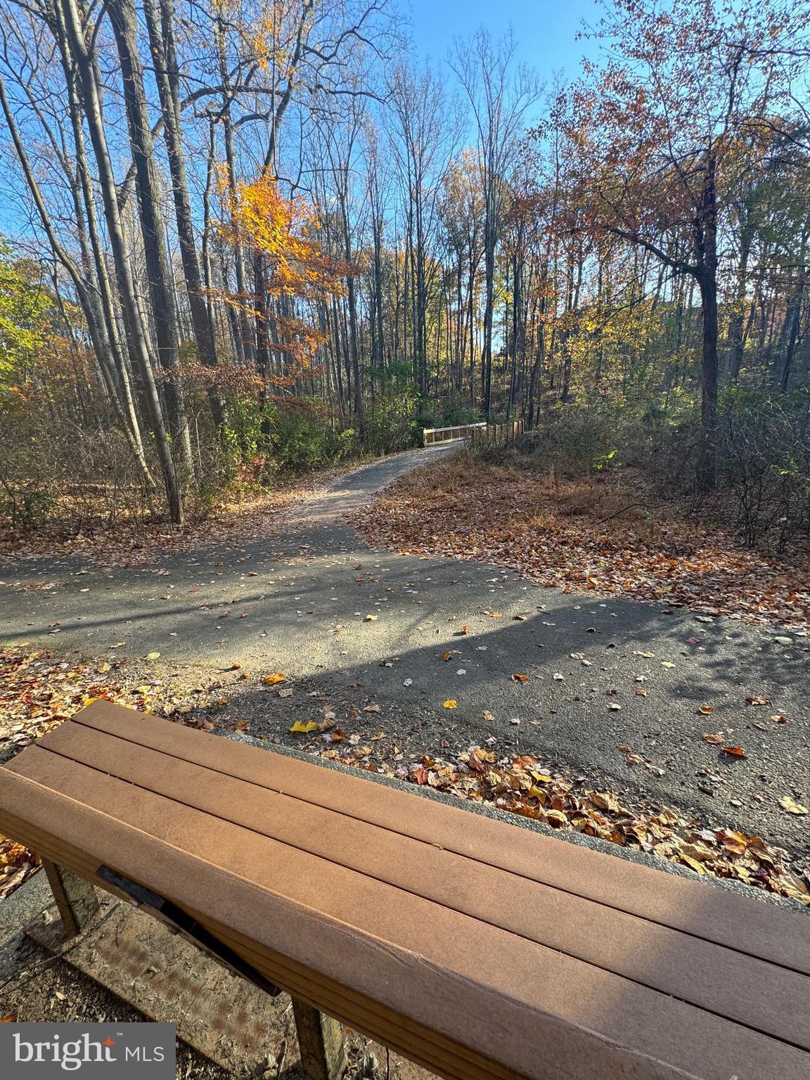 1660 Bandit Loop Reston, VA 20190 - Photo 31 of 39 a view of a yard with street