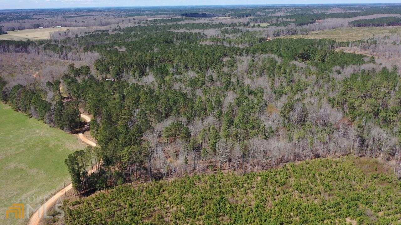 0 Terrell Road Greenville, GA 30222 - Photo 1 of 1