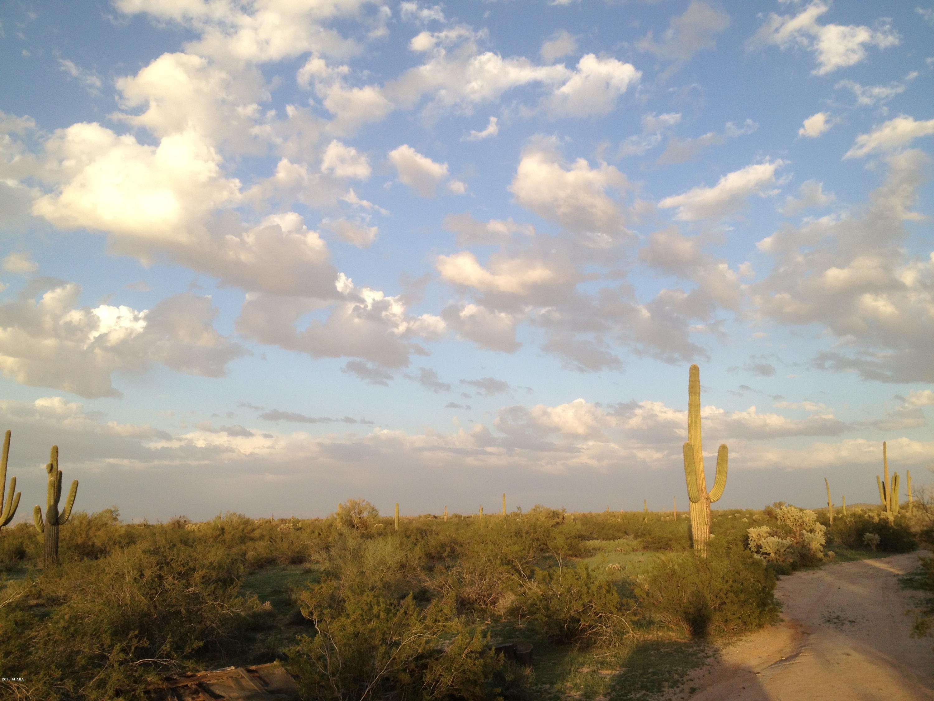 9394 North Reed Road Florence, AZ 85132 - Photo 24 of 24 IMG_0006