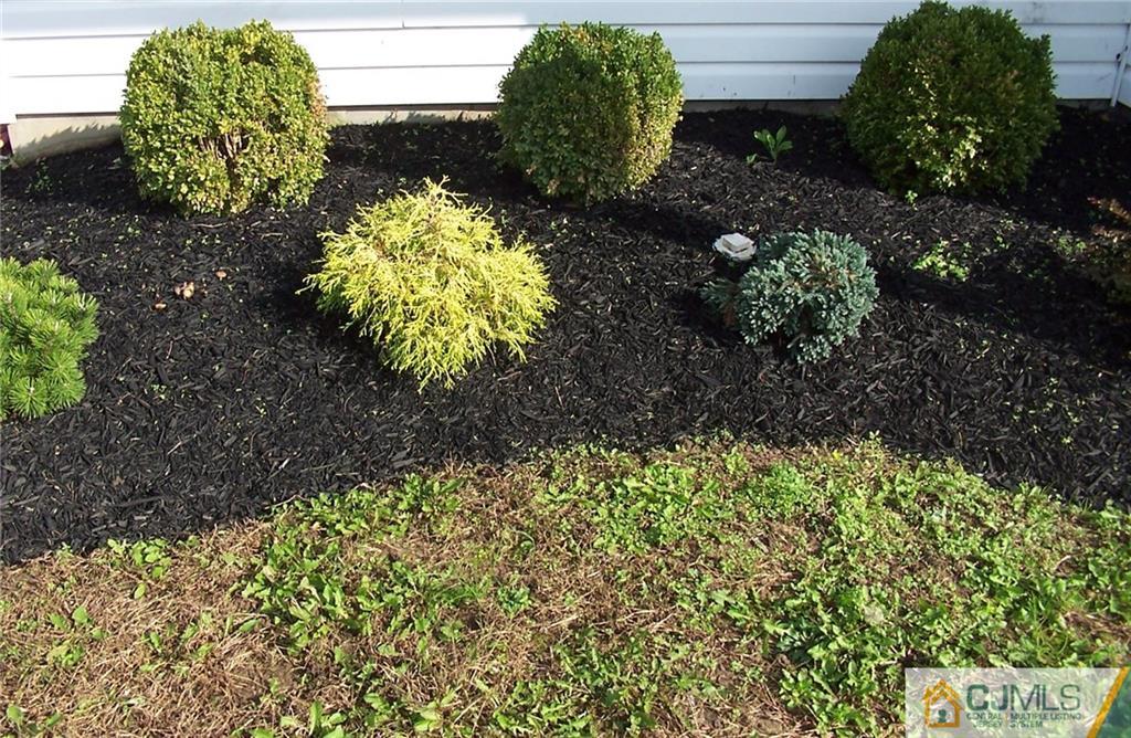 6 Nutmeg Road Aberdeen, NJ 07747 - Photo 6 of 24 a view of a garden with plants