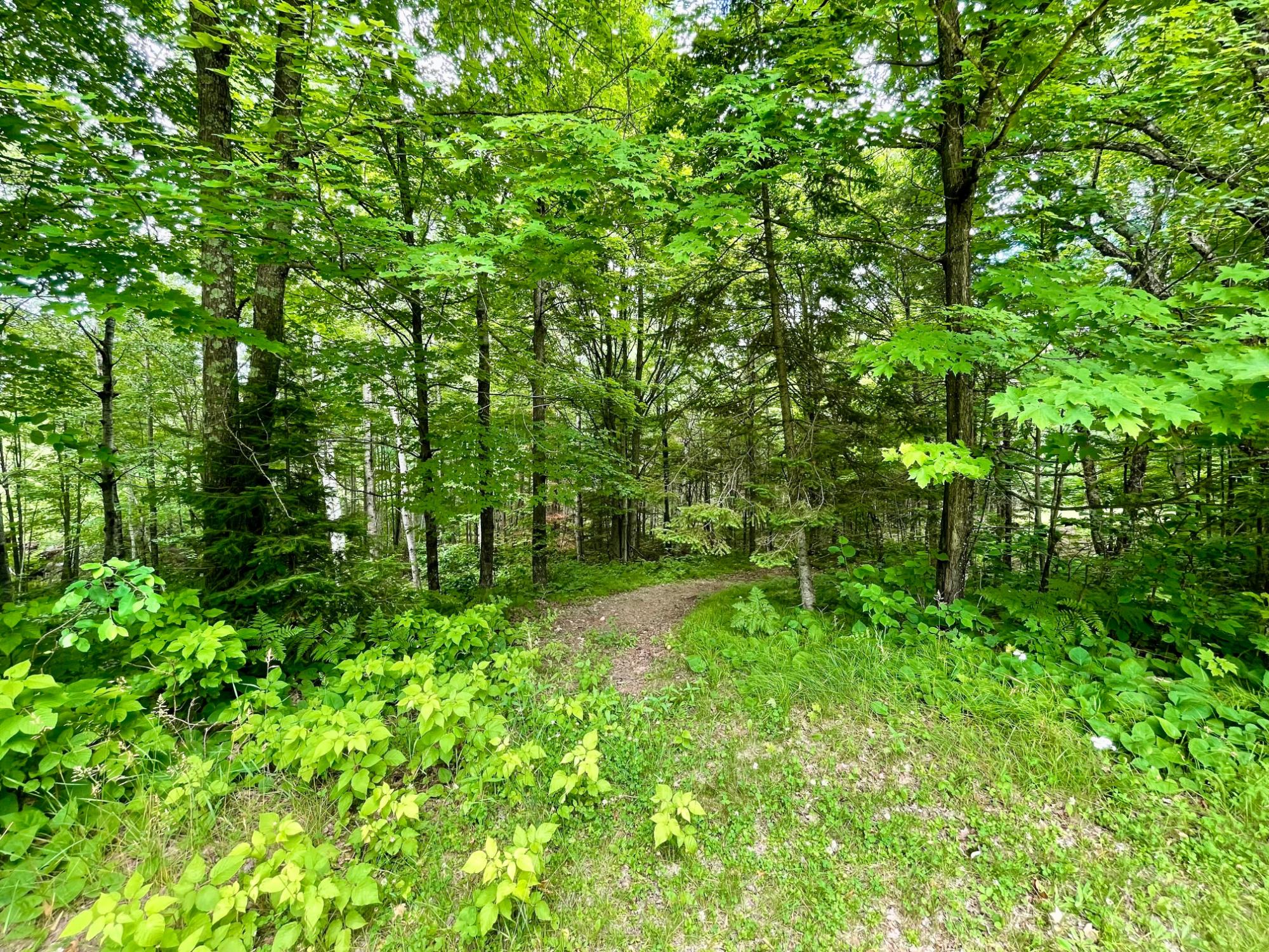 N8054 Ridge Road Phillips, WI 54555 - Photo 51 of 51 Gallery Image 51