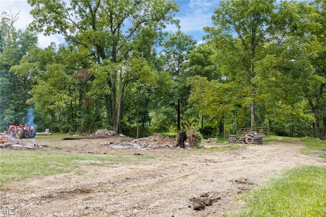6960 Grove Road Clinton, OH 44216 - Photo 23 of 25 View of where an old shed was recently demolished.