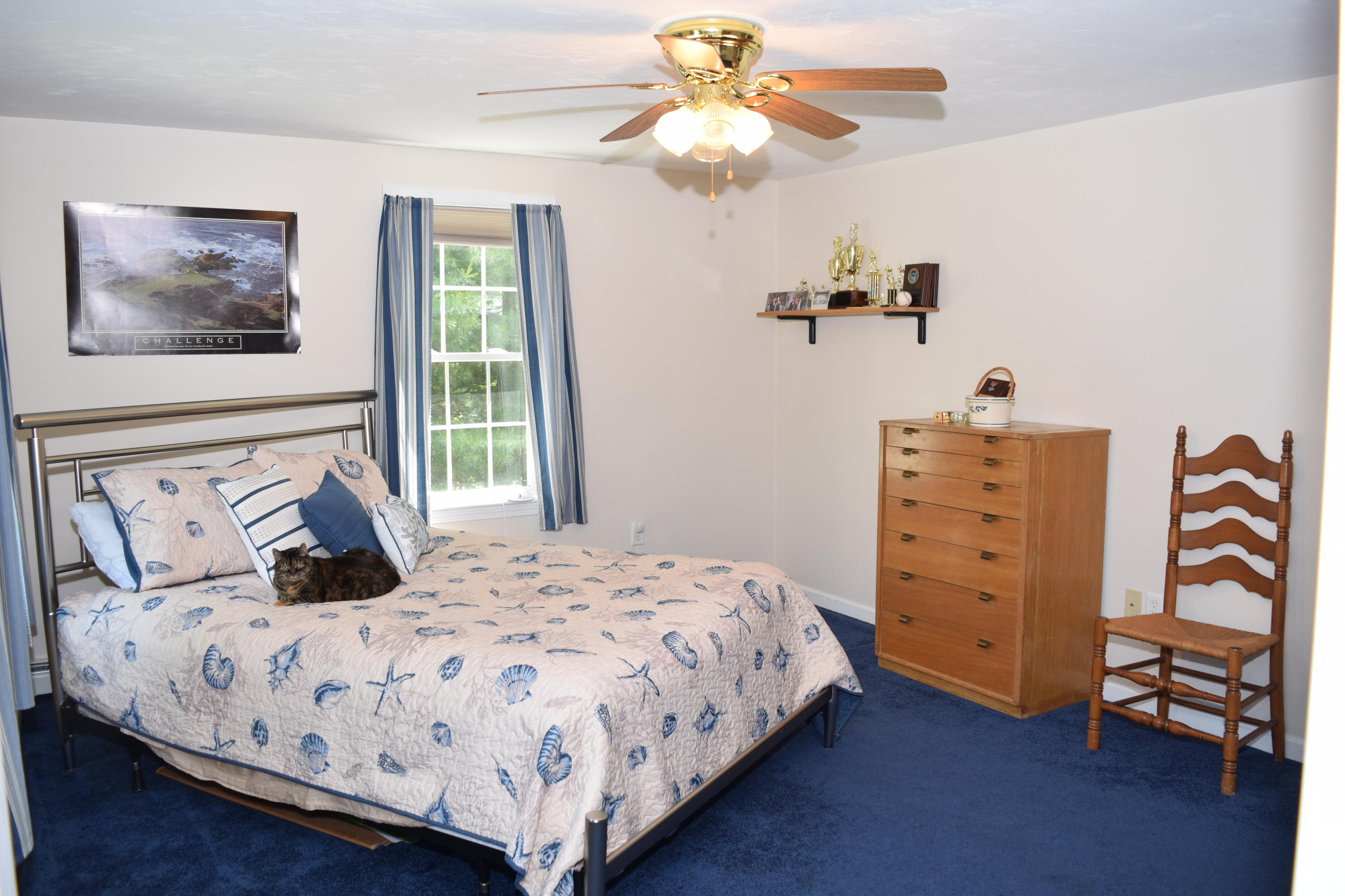 22 Maple Street Mashpee, MA 02649 - Photo 19 of 28 DSC_0839