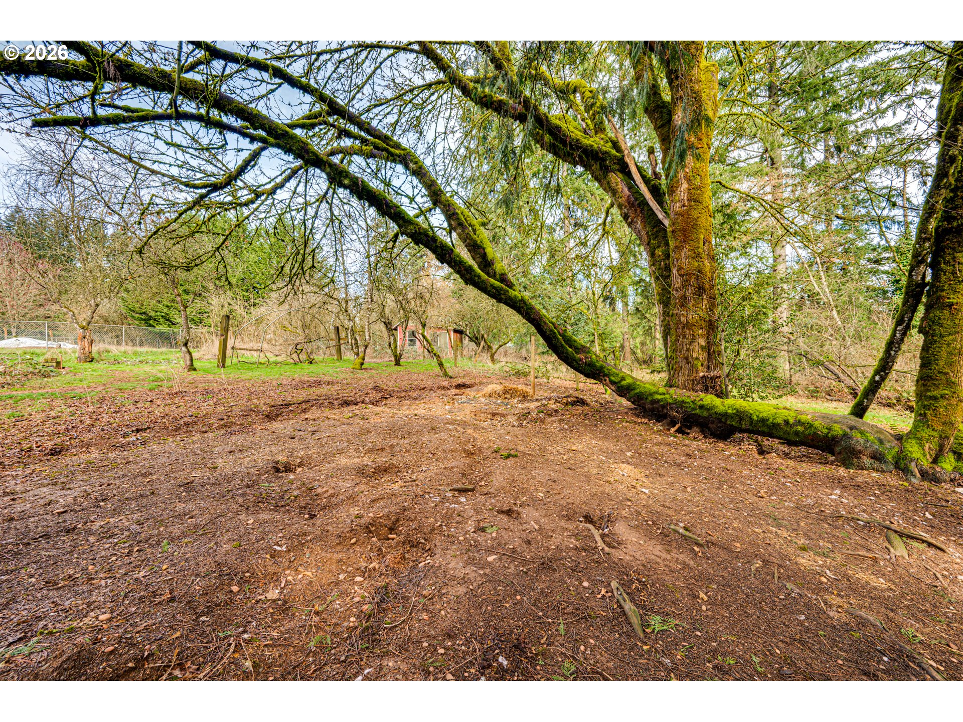 20811 Northeast Freedom Road Battle Ground, WA 98604 - Photo 36 of 44 Gallery Image 36
