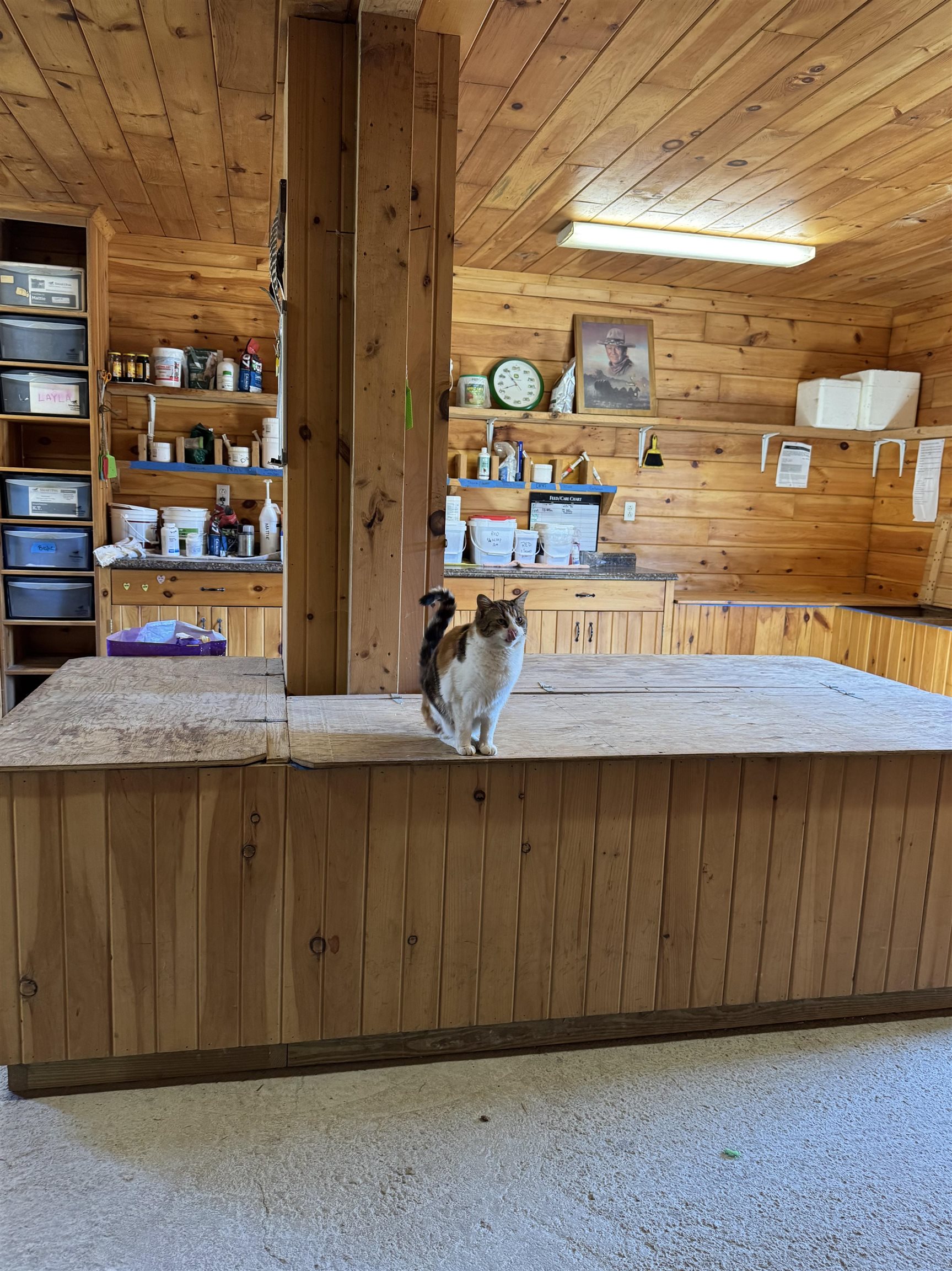 1374 Us Route Wallingford, VT 05773 - Photo 19 of 71