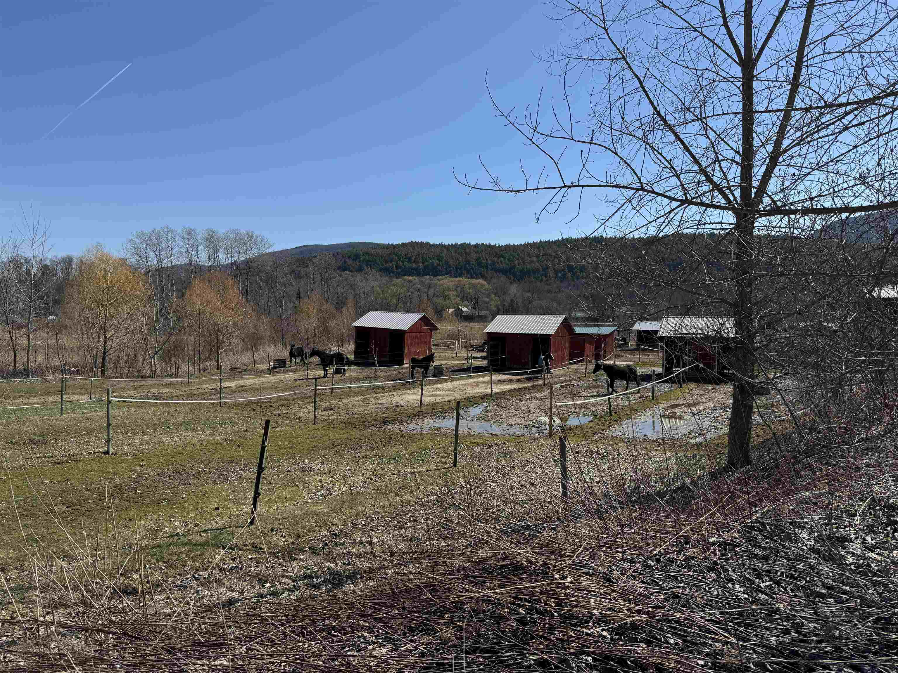 1374 Us Route Wallingford, VT 05773 - Photo 67 of 71