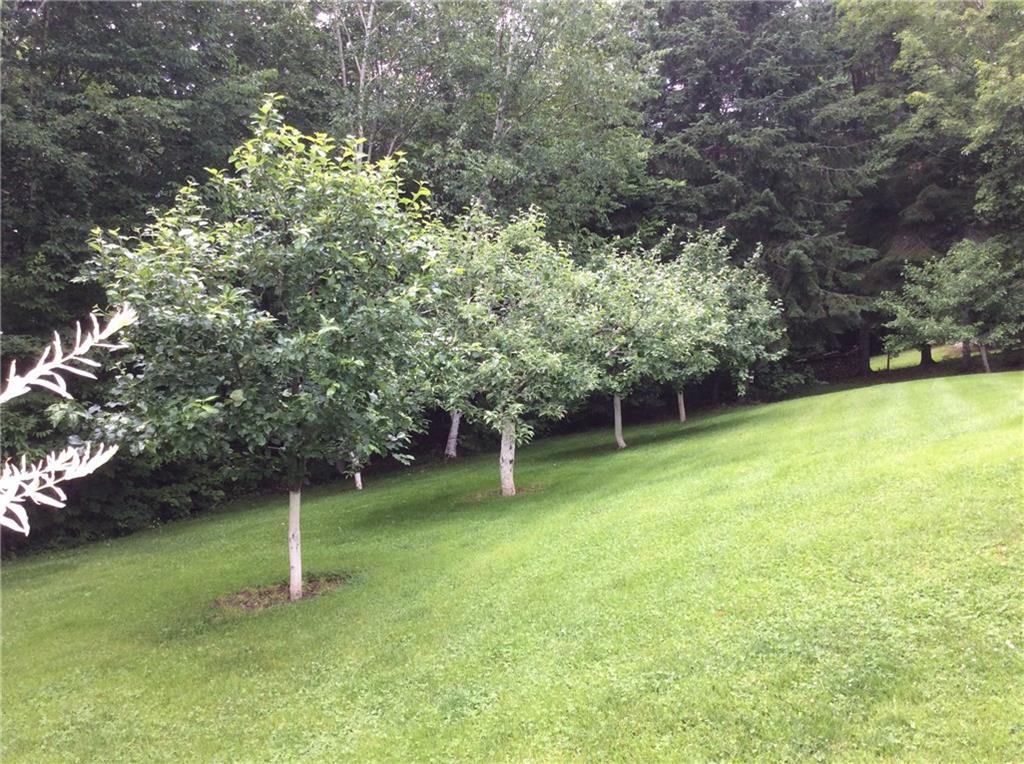 1017 Lake Shore Road St. David, ME 04773 - Photo 9 of 28 Photo