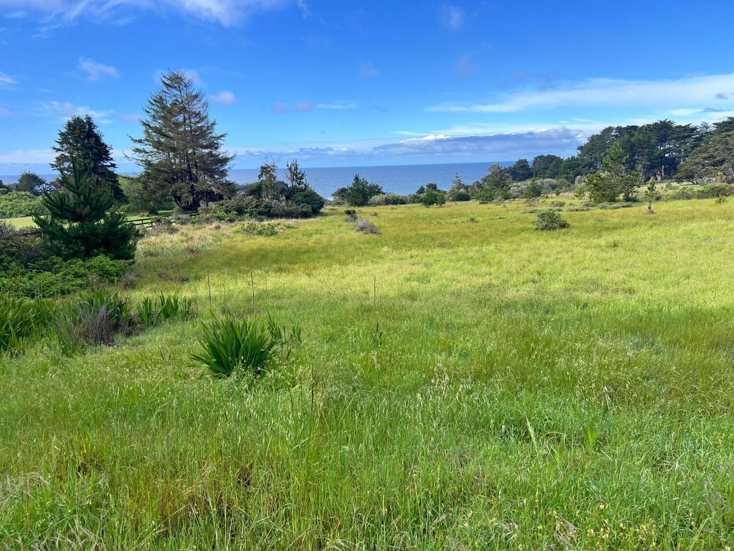 375 Spur Close The Sea Ranch, CA 95497 - Photo 5 of 16