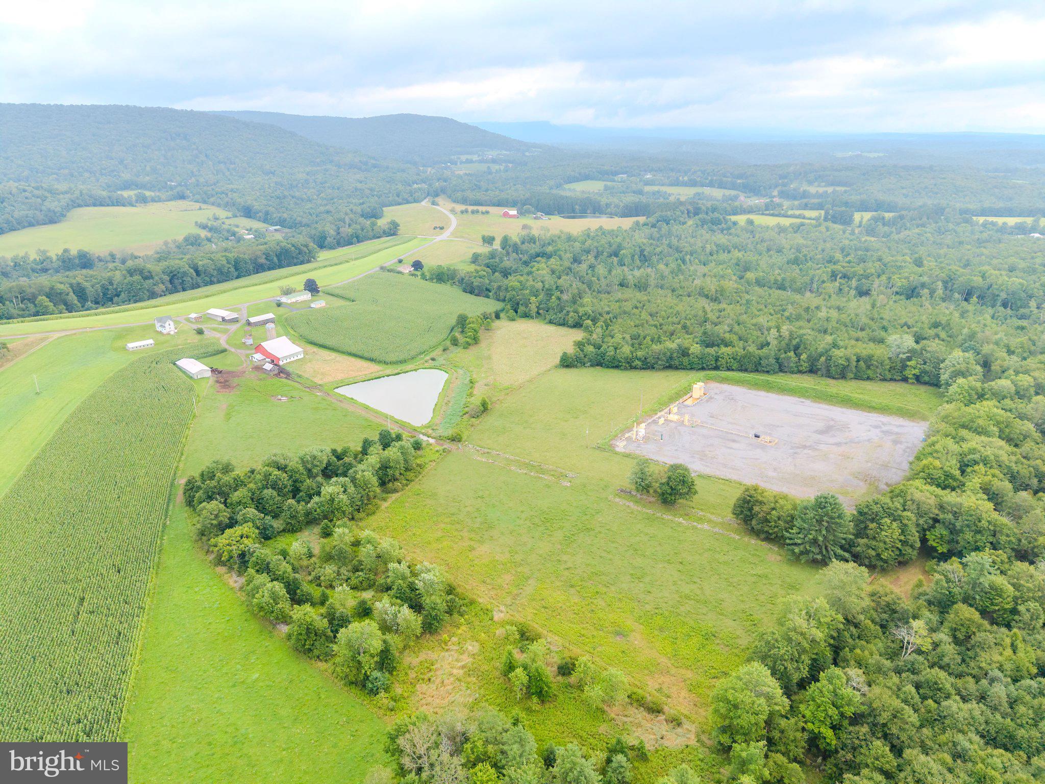 7606 Rose Valley Road Trout Run, PA 17771 - Photo 3 of 39 Expansive countryside with lush fields.