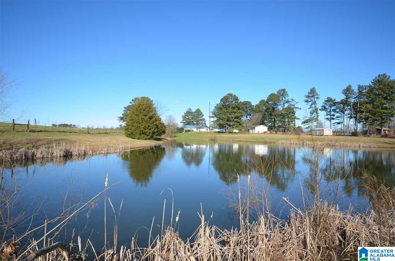 201 County Road 1476 Cullman, AL 35058 - Photo 26 of 26