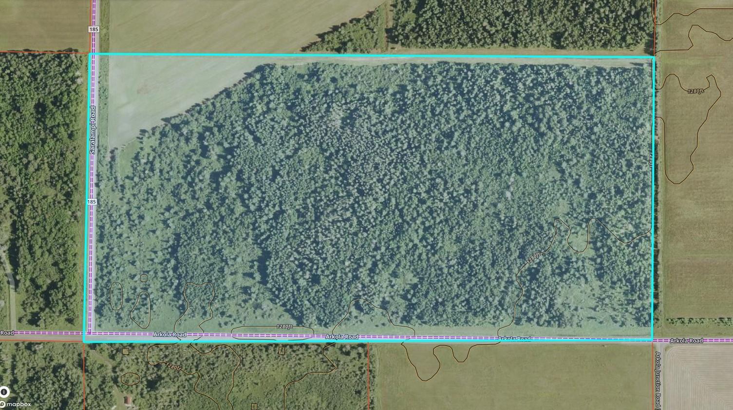 Tbd Saralampi Road Meadowlands, MN 55765 - Photo 12 of 26