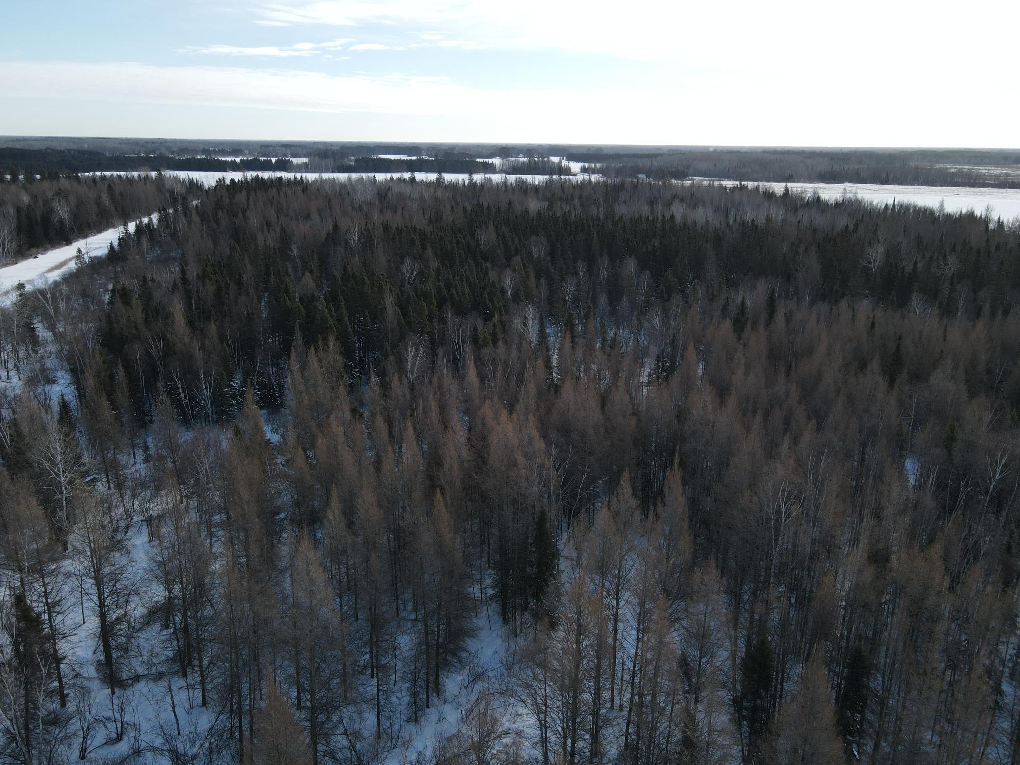 Tbd Saralampi Road Meadowlands, MN 55765 - Photo 15 of 26