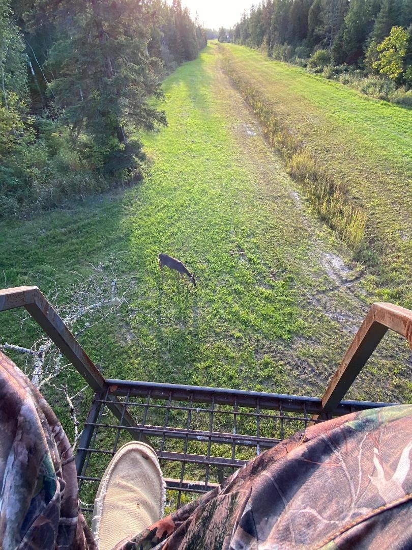 Tbd Saralampi Road Meadowlands, MN 55765 - Photo 17 of 26