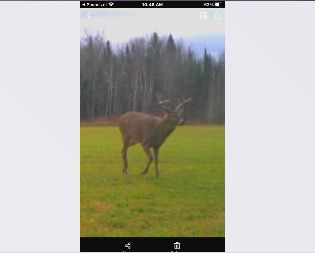 Tbd Saralampi Road Meadowlands, MN 55765 - Photo 18 of 26