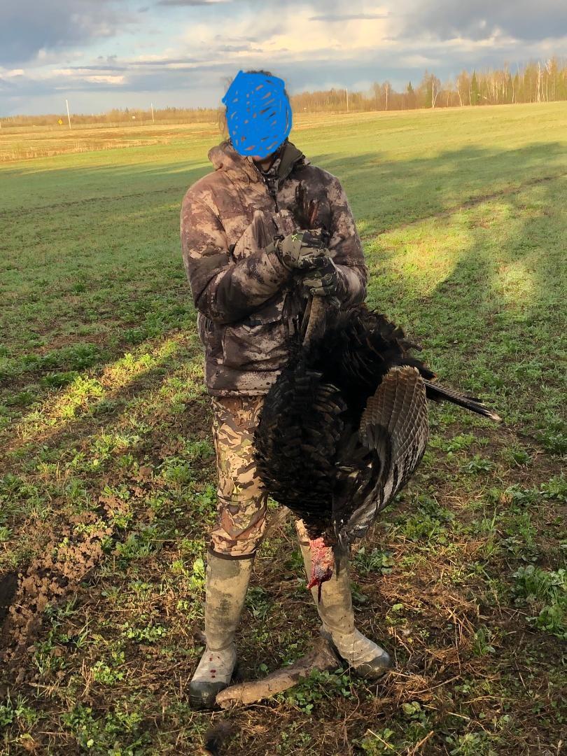 Tbd Saralampi Road Meadowlands, MN 55765 - Photo 21 of 26