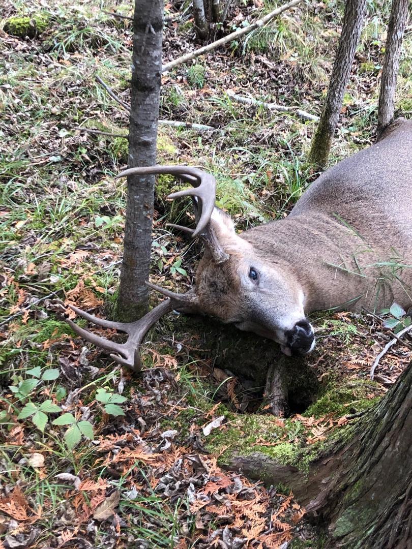 Tbd Saralampi Road Meadowlands, MN 55765 - Photo 22 of 26