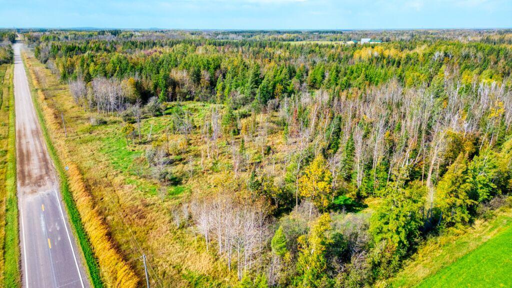 Tbd Saralampi Road Meadowlands, MN 55765 - Photo 5 of 26