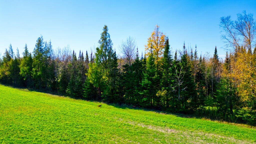 Tbd Saralampi Road Meadowlands, MN 55765 - Photo 6 of 26