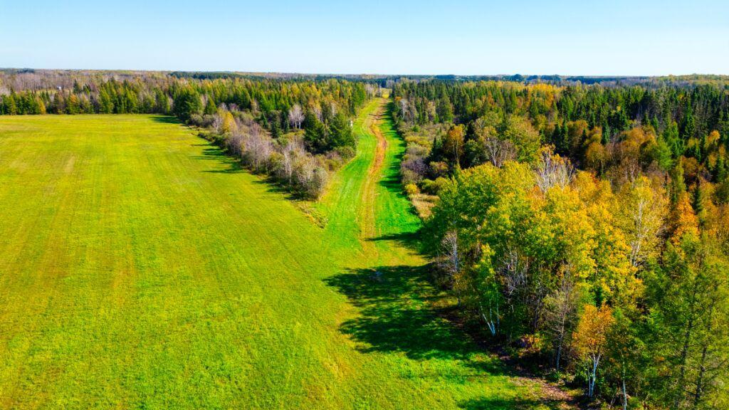 Tbd Saralampi Road Meadowlands, MN 55765 - Photo 7 of 26