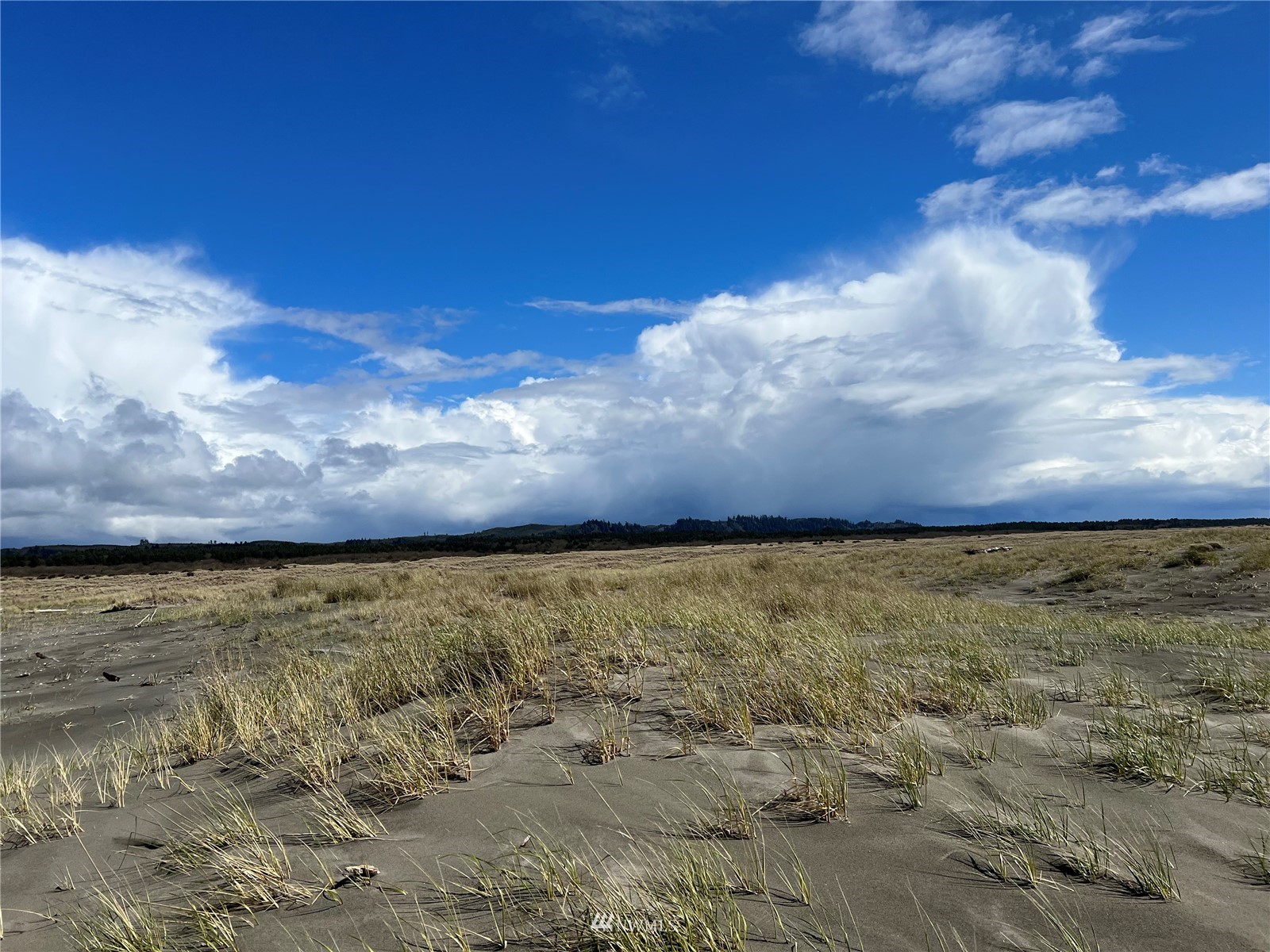 30 South State Route 105 Grayland, WA 98547 - Photo 11 of 27